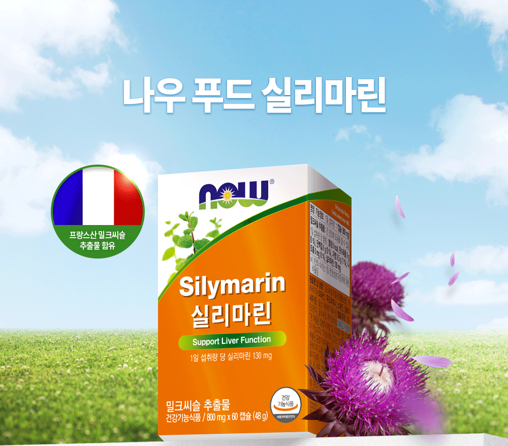 NOW Foods Silymarin Milk Thistle, 60 capsules, 3 packs