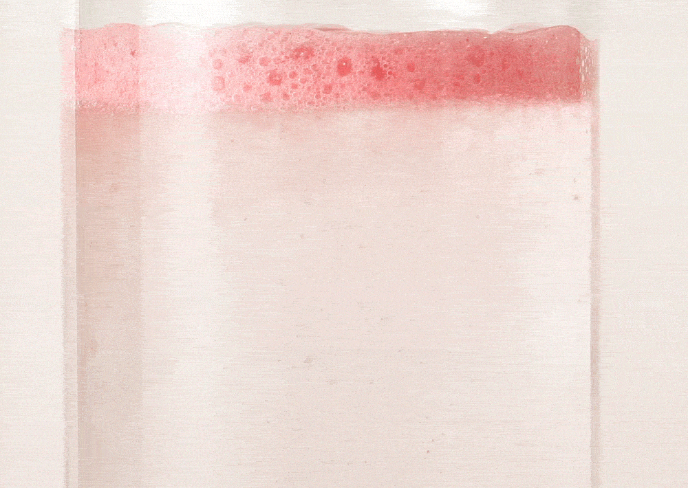 Teazen Kombucha Raspberry, 10 sticks, 3 packs with bottle