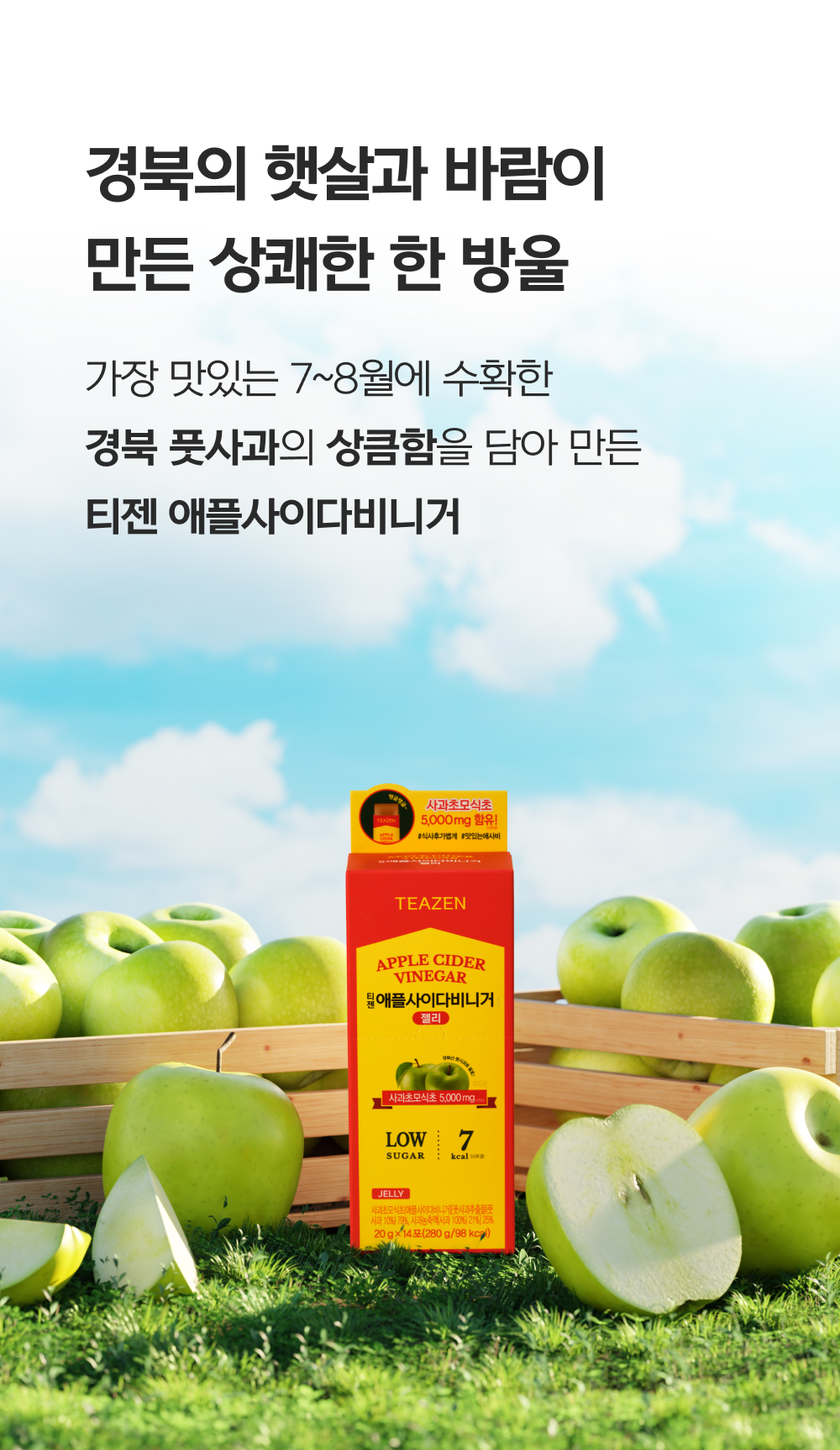 Teazen Apple Cider Vinegar Jelly, 14 sticks × 4 packs